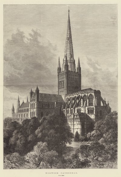 Catedral de Norwich de Samuel Read